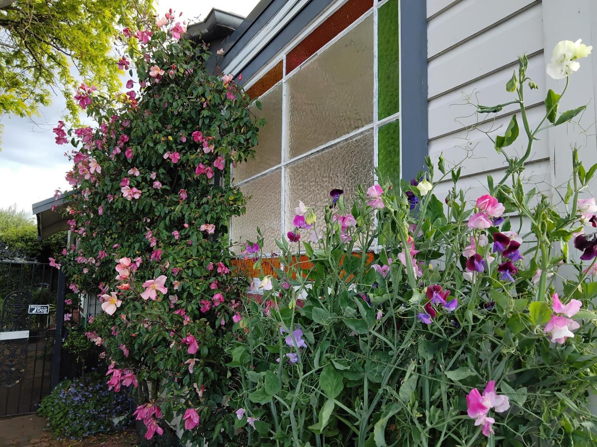 Guthrie Cottage Havelock North Exterior photo